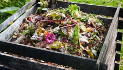 Quelle valorisation pour les déchets ?